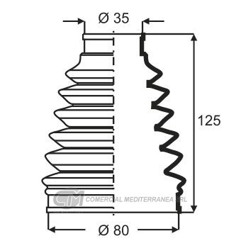KIT TRANSMISION RENAULT CLIO II (00..) EXPRESS (91