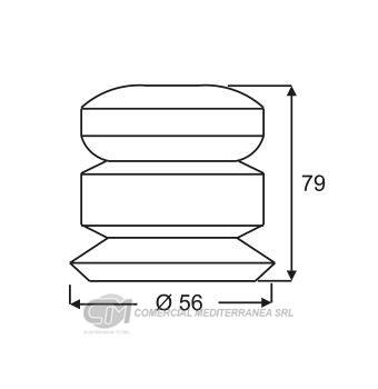 TOPES SUSPENSION DEL. CITROEN BERLINGO (02..) XSARA (