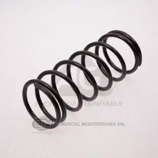 RESORTES DODGE 1500 DELANTERO 71/77