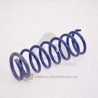 KIT RESORTES FORD FOCUS 2.0 08/.. TRASEROS