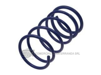 KIT RESORTES PEUGEOT 207 COMPACT NAFTA 08/10 DELANTER