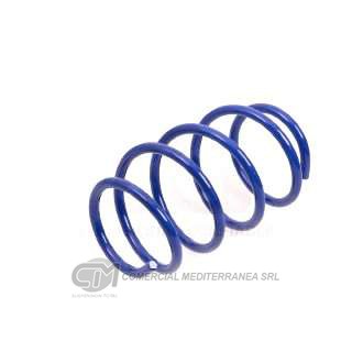 KIT RESORTES RENAULT MEGANE II 2.0 2009/.. DELANTERO