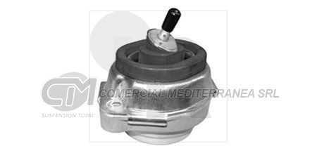 SOPORTE DE MOTOR   X5 2000-2007